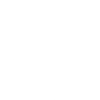 PhoneVoice